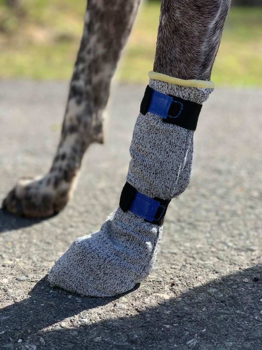 Bilde av VIP Dogwear UNIVERSAL potesokk høy 4pk 